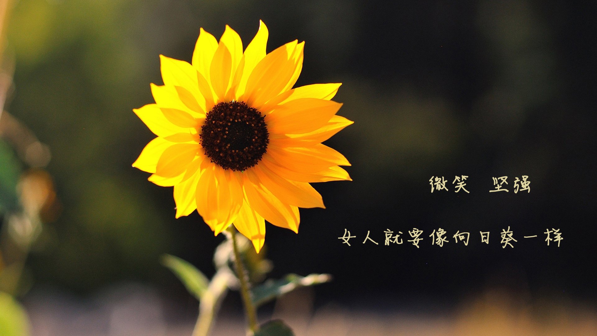 普拉提教练培训机构加强与高校合作，提升专业性，普拉提教练培训哪里好 有学过的吗