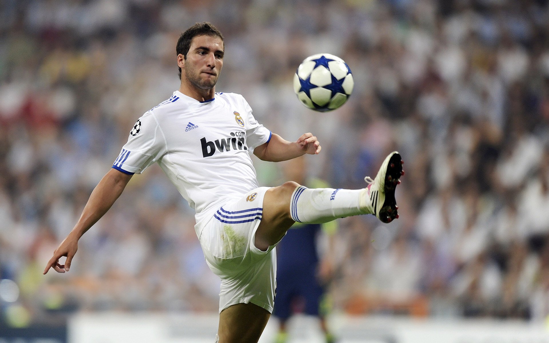 足球重大比赛现场设立互动展区，增强观赛体验，足球展厅