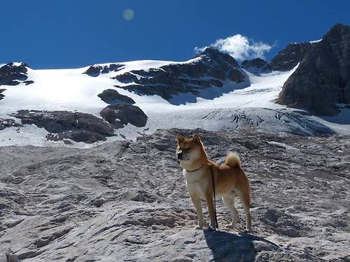 开云体育官方-史上最令人激动的“冠军决战”回顾，夺冠的比赛